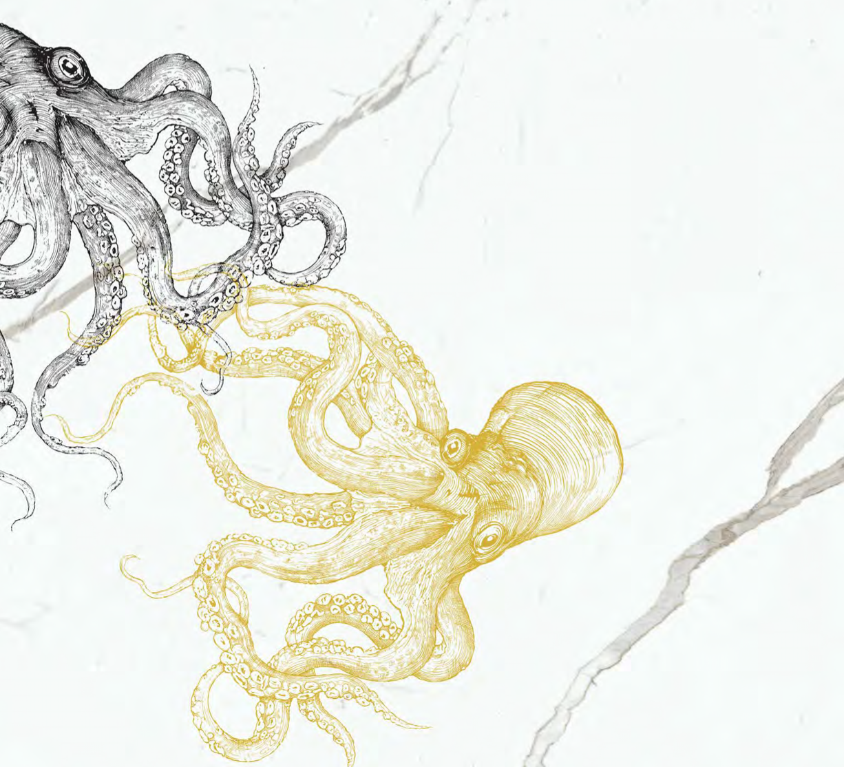 Screen Shot 2019-08-08 at 1.51.59 PM